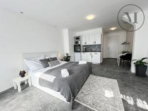 Prodej apartmánu, České Budějovice, Otakarova, 249 m2