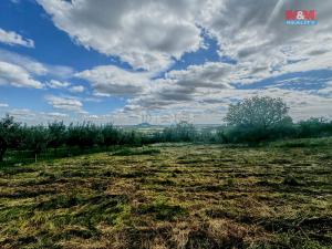 Prodej zahrady, Třebenice, 3500 m2