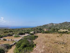 Prodej zemědělské půdy, Santa Teresa Gallura, Sardinie, Itálie, 81812 m2