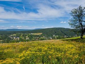 Prodej bytu 1+kk, Bedřichov, 31 m2