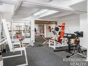 Pronájem obchodního prostoru, Kutná Hora, Tylova, 380 m2