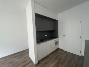 Pronájem bytu 1+kk, Plzeň - Východní Předměstí, Papírnická, 28 m2