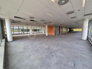 Pronájem kanceláře, Brno - Královo Pole, Technická, 1040 m2