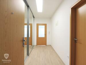 Pronájem bytu 1+kk, Plzeň, Guldenerova, 49 m2