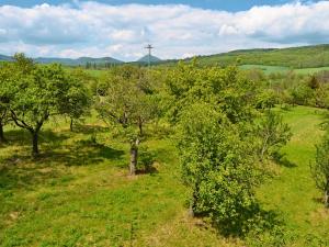 Prodej pozemku pro bydlení, Třebenice, 5800 m2