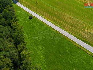 Prodej trvalého travního porostu, Hracholusky - Obora, 8721 m2