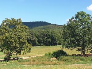 Prodej pozemku pro bydlení, Louňovice pod Blaníkem, 1006 m2