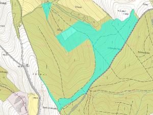 Prodej podílu lesa, Prakšice, 10184 m2