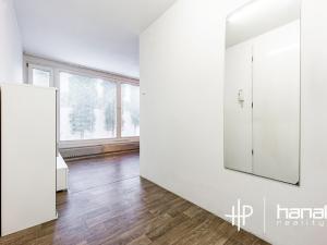 Pronájem bytu 1+kk, Šternberk, Labutí, 31 m2