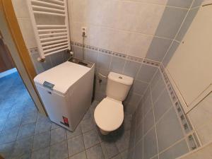 Pronájem bytu 1+kk, Jihlava, Zimní, 28 m2