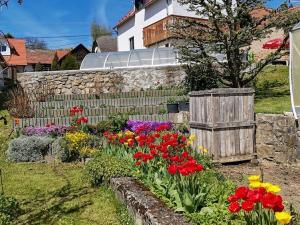 Pronájem rodinného domu, Vlkančice, 153 m2