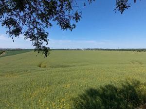 Prodej zemědělské půdy, Čestlice, Říčanská, 678 m2