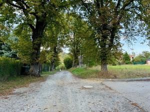 Prodej pozemku pro bydlení, Pyšely, Pod Oborou, 1562 m2