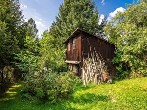 Prodej chaty, Zlatá Olešnice, 100 m2