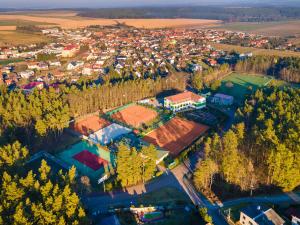 Pronájem bytu 1+kk, Zruč-Senec - Zruč, Sportovní, 40 m2