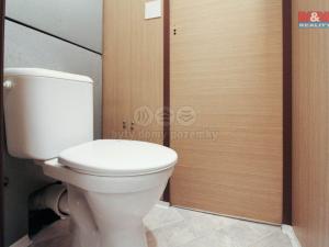 Prodej bytu 3+1, Teplice, Antala Staška, 79 m2