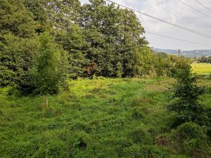 Prodej trvalého travního porostu, Liberec, U Tří studní, 6759 m2