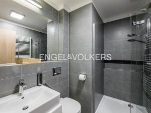 Pronájem bytu 6+kk, Praha - Žižkov, Radhošťská, 220 m2