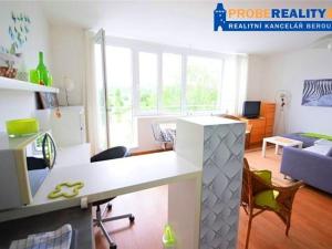 Pronájem bytu 1+kk, Beroun, V Zahradách, 32 m2