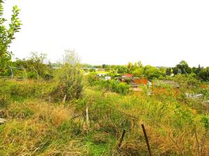 Prodej zahrady, Žatec, Libočanská, 954 m2