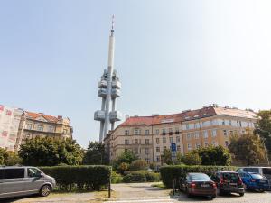 Pronájem bytu, Praha - Žižkov, Ševčíkova, 20 m2