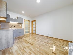 Pronájem bytu 2+kk, Šternberk, Světlov, 39 m2