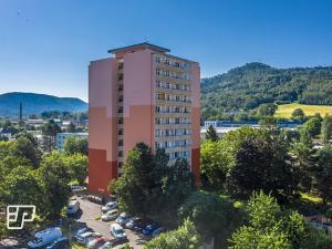 Pronájem bytu 1+kk, Děčín, Žerotínova, 28 m2