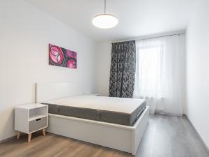 Pronájem bytu 2+kk, Praha - Karlín, Nekvasilova, 56 m2