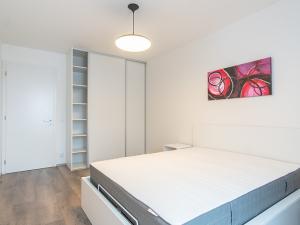 Pronájem bytu 2+kk, Praha - Karlín, Nekvasilova, 56 m2