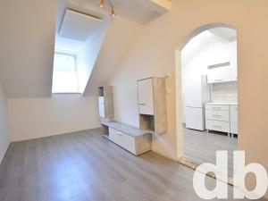 Pronájem bytu 1+1, Karlovy Vary, Svahová, 31 m2