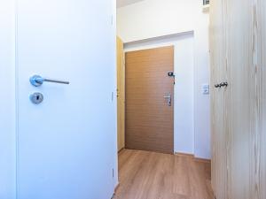 Pronájem bytu 1+kk, Praha - Vinohrady, Libická, 27 m2