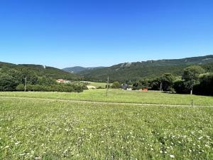 Prodej pozemku pro bydlení, Vyškovec, 29133 m2