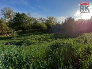 Prodej pozemku pro komerční výstavbu, Olešná, 785 m2