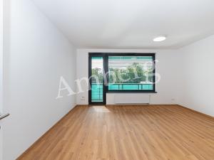 Pronájem bytu 1+kk, Praha - Žižkov, Olgy Havlové, 34 m2