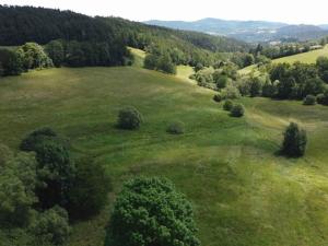 Dražba trvalého travního porostu, Hartmanice, 5270 m2