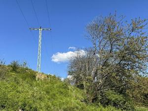 Prodej lesa, Žďárek, 11675 m2