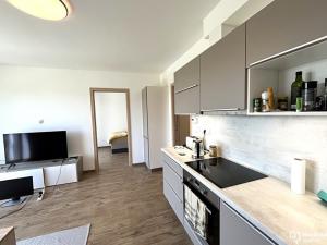 Pronájem bytu 2+kk, Olomouc, Dolní Novosadská, 41 m2