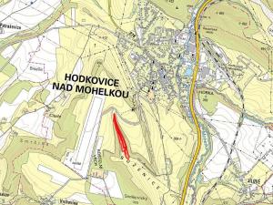 Prodej podílu trvalého travního porostu, Hodkovice nad Mohelkou, 6308 m2