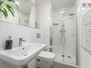 Prodej bytu 1+kk, Praha, Perucká, 26 m2