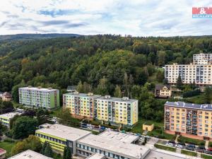 Prodej bytu 3+1, Děčín - Děčín IX-Bynov, Na Pěšině, 63 m2