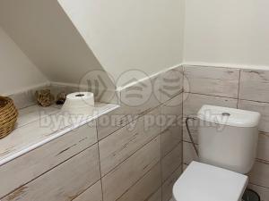 Pronájem bytu 2+kk, Červený Újezd, Hájecká, 70 m2