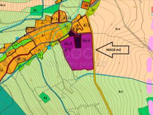 Prodej pozemku pro bydlení, Králíky - Dolní Boříkovice, 46410 m2