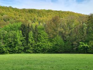 Prodej louky, Stříbrná Skalice, osada Na Hradcích, 12376 m2