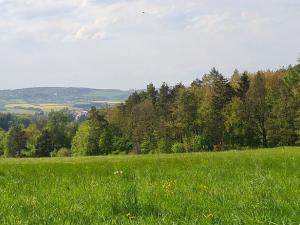 Prodej louky, Stříbrná Skalice, osada Na Hradcích, 12376 m2