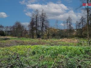 Prodej pozemku pro bydlení, Františkovy Lázně - Žírovice, 1000 m2