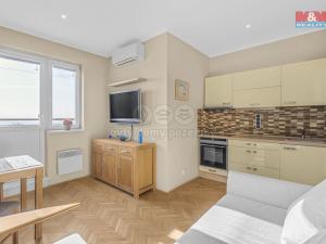 Prodej bytu 1+kk, Praha - Vinohrady, Sobotecká, 38 m2