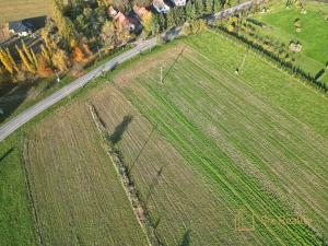 Prodej pozemku pro bydlení, Panoší Újezd, 1000 m2