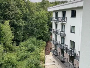 Prodej bytu 2+kk, Mariánské Lázně, Chebská, 56 m2