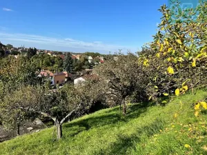 Prodej pozemku pro bydlení, Chrudim, Malecká, 2242 m2