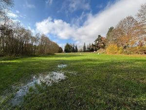 Prodej louky, Janovice nad Úhlavou, 11416 m2